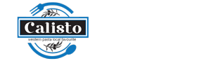 logo calisto white